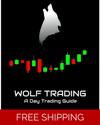 Roland Wolf DVD A Day Trading Course